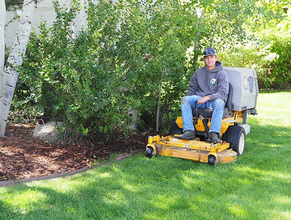  Lawn Maintenance Laporte, CO